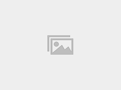 Administrative Virtual Assistant